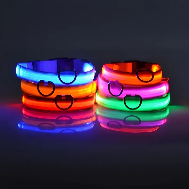 GlowSafe Hundehalsband