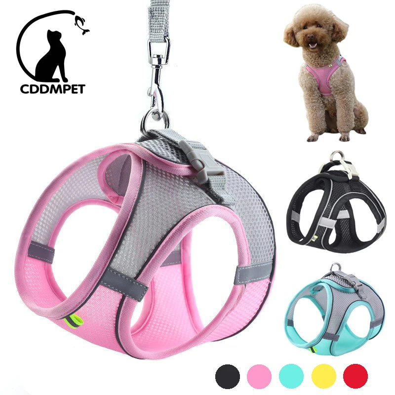 ComfyWalk Hundegeschirr & Leine Set